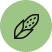 corn icon